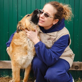 ANIMAL CARE: ПОМОЩЬ БЕЗДОМНЫМ ЖИВОТНЫМ