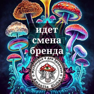 AMANITA GLOBAL - МУХОМОРЬЕ ДЛЯ ЗДОРОВЬЯ МЕРКУЛ МАХАМАР
