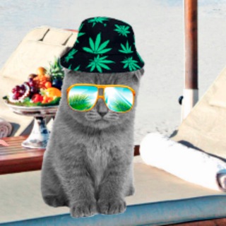СОЛОВЕЙ