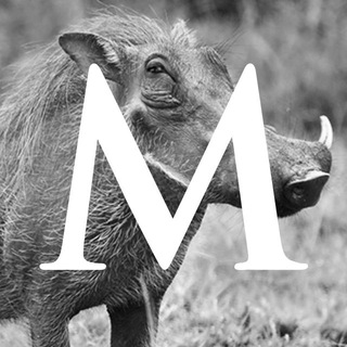 MAXIM: ЮМОР