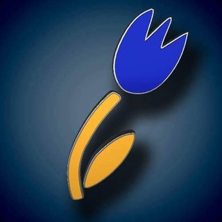 УКРАЇНЦІ В НІДЕРЛАНДАХ - OEKRAÏNERS IN NEDERLAND