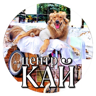 ЦЕНТР «КАЙ»