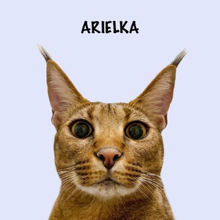 ARIEL CARACAT