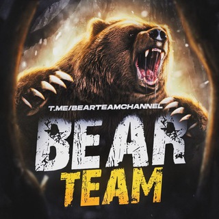 BEAR TEAM