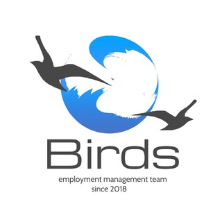 BIRDS- РАБОТА ЗА ГРАНИЦЕЙ