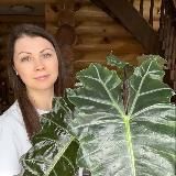 МАША ДОМА