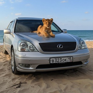 ОБОИ НА КАЖДЫЙ ДЕНЬ