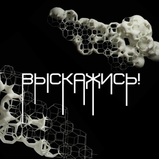 ВЫСКАЖИСЬ!