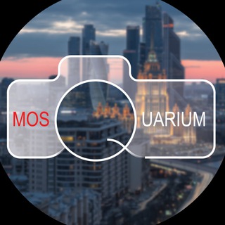 MOSQUARIUM