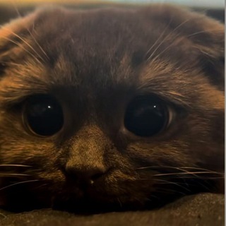 STITCH | ЖЕНСКИЕ КУРСЫ 