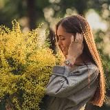 ПРОСТОМАРИЯ