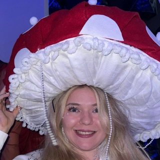 ВЕРХОМ НА ИП МЕТРИКА