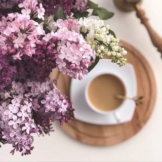 BLOOMING HOME