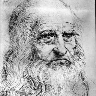БОРОДА DA VINCI