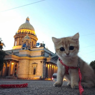 RABOTNIK.RU | САНКТ-ПЕТЕРБУРГ