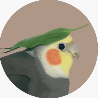 PARROTS 