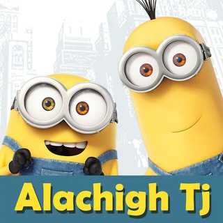 ALACHIGH TJ