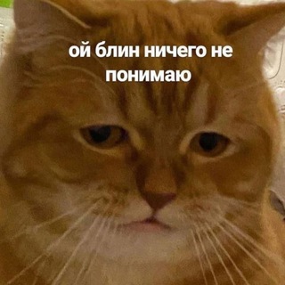 ЗДРАВСТВУЙ, БГУИР, Я ТЕБЯ НЕНАВИЖУ