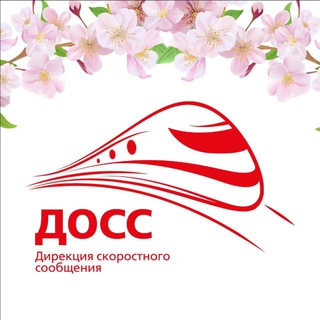 ДОСС.ИНФО