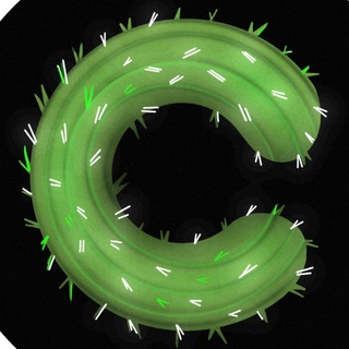 CACTUS GAMES
