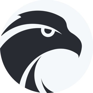 HAWK SQUAD