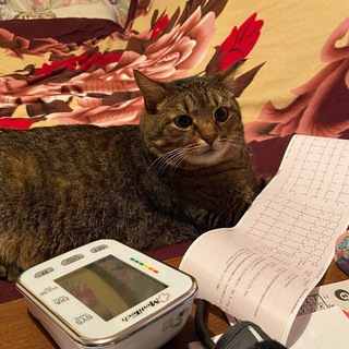 ECG ELECTROCARDIOGRAPHY / ЭКГ ЭЛЕКТРОКАРДИОГРАФИЯ
