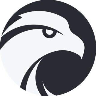 HAWK DOTA 2