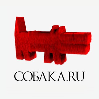 СМР.СОБАКА.RU