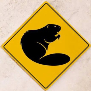 ВОРЧАНИЕ БОБРА