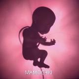 БЕРЕМЕННОСТЬ | РОДЫ | МАТЕРИНСТВО