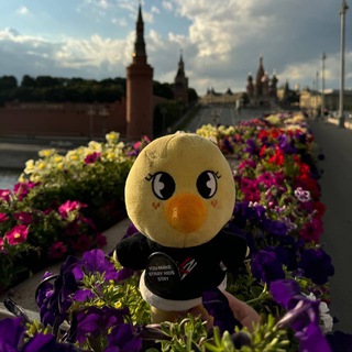ЖИЗНЬ ББОКАРИ