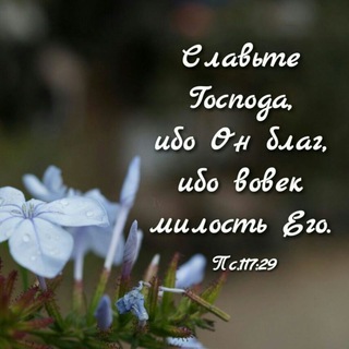 ДЕТСКОЕ СЛУЖЕНИЕ МСЦ ЕХБ