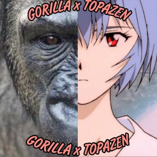 TOPAZ Х GORILLAZ
