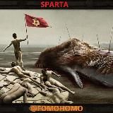 FOMOHOMO
