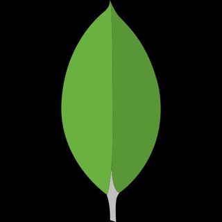 MONGODB RUSSIAN