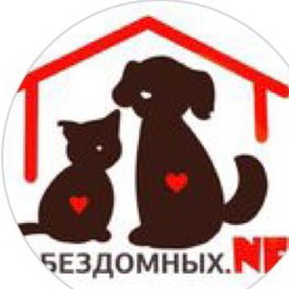 BEZDOMNIH_NET_VLADIKAVKAZ