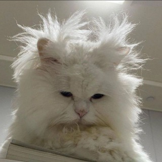 SENNYA