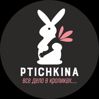 PTICHKINA_ALISA_LAREK