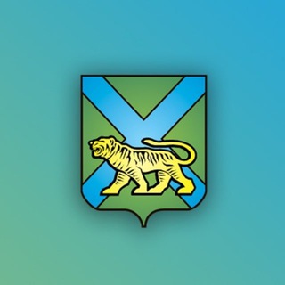 ПРАВИТЕЛЬСТВО ПРИМОРЬЯ | КОММЕНТАРИИ