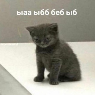 МЕМ НА КАЖДЫЙ ДЕНЬ