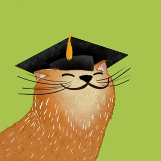 АКАДЕМИЯ КОТОВЛАДЕНИЯ