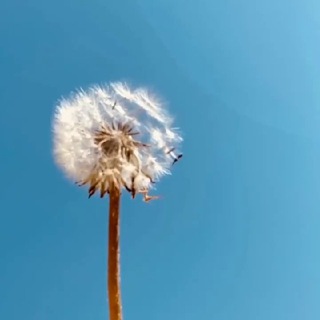 ʙᴏƦɴᴋʏƦɢʏᴢ 