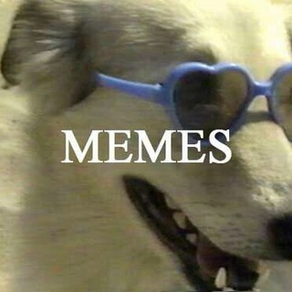 MEMASY