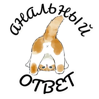 АНАЛЬНЫЙ ОТВЕТ