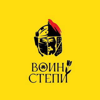 ВОИНЫ СТЕПИ