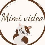 MIMI_VIDEO ЖИВОТНЫЕ