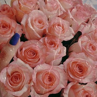 ФОТО И СТОРИС ДЛЯ ИНСТАГРАММ