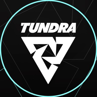 TUNDRA ESPORTS