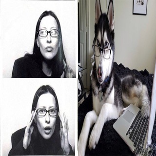ЦАРСТВО НАУКИ 99