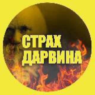 ЛЯ ТЫ КРЫСА